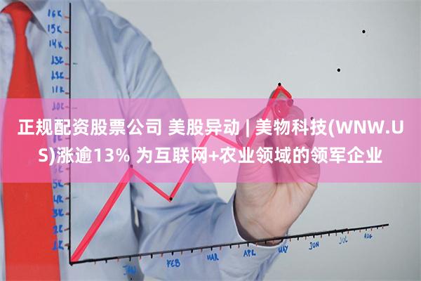 正规配资股票公司 美股异动 | 美物科技(WNW.US)涨逾13% 为互联网+农业领域的领军企业