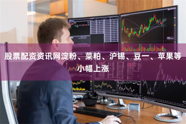 股票配资资讯网淀粉、菜粕、沪锡、豆一、苹果等小幅上涨