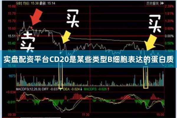 实盘配资平台CD20是某些类型B细胞表达的蛋白质