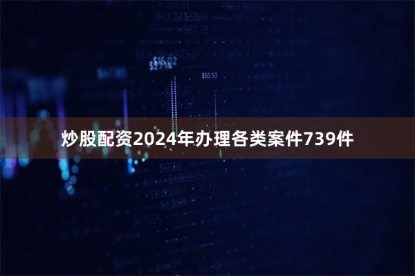 炒股配资　　2024年办理各类案件739件