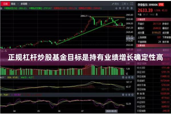 正规杠杆炒股基金目标是持有业绩增长确定性高