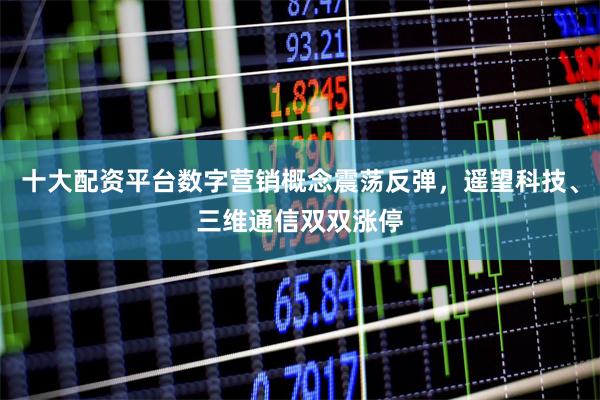十大配资平台数字营销概念震荡反弹，遥望科技、三维通信双双涨停